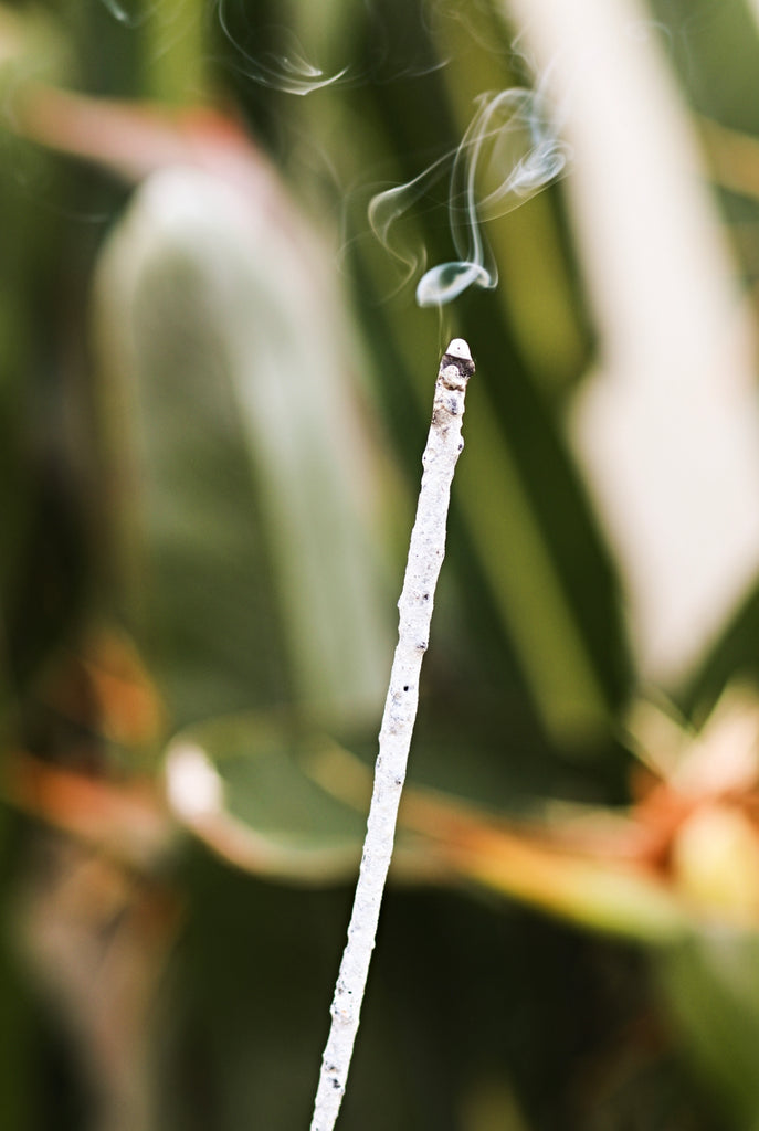 Pure White Mayan Copal Incense sticks burning wisps of fragrant smoke.