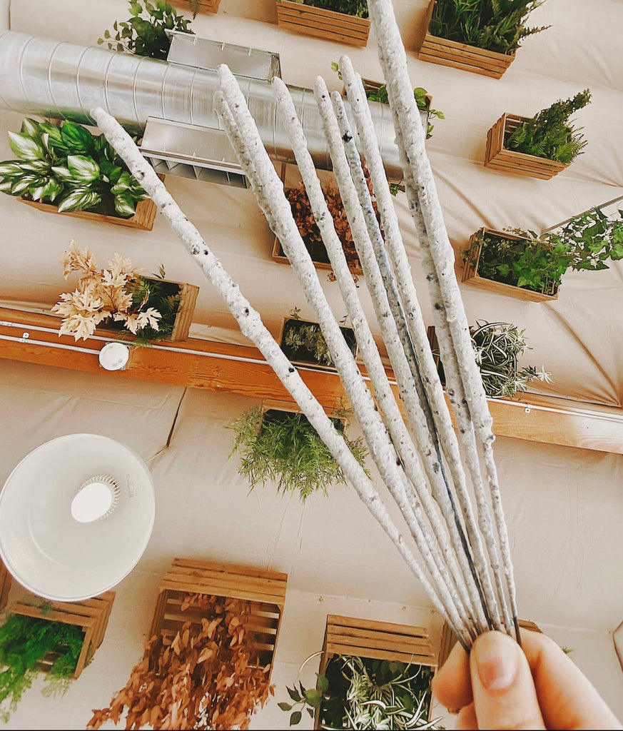 Pure White Mayan Copal Incense sticks for aromatherapy, seven sticks held by hand.